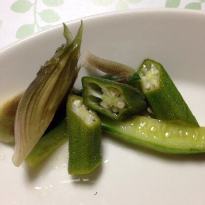 オクラは初めて作りました！美味しいです！
胡瓜とミョウガも加えて、夏野菜たっぷりにしてみました。また作ります！